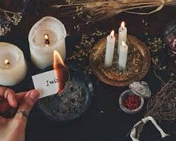 LOVE SPELL (family)